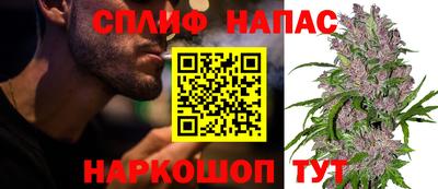 ГАЛЛЮЦИНОГЕННЫЕ ГРИБЫ Гагарин