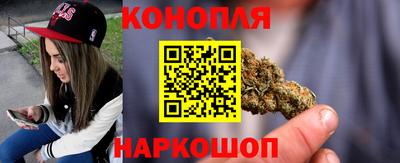 шишки Гатчина