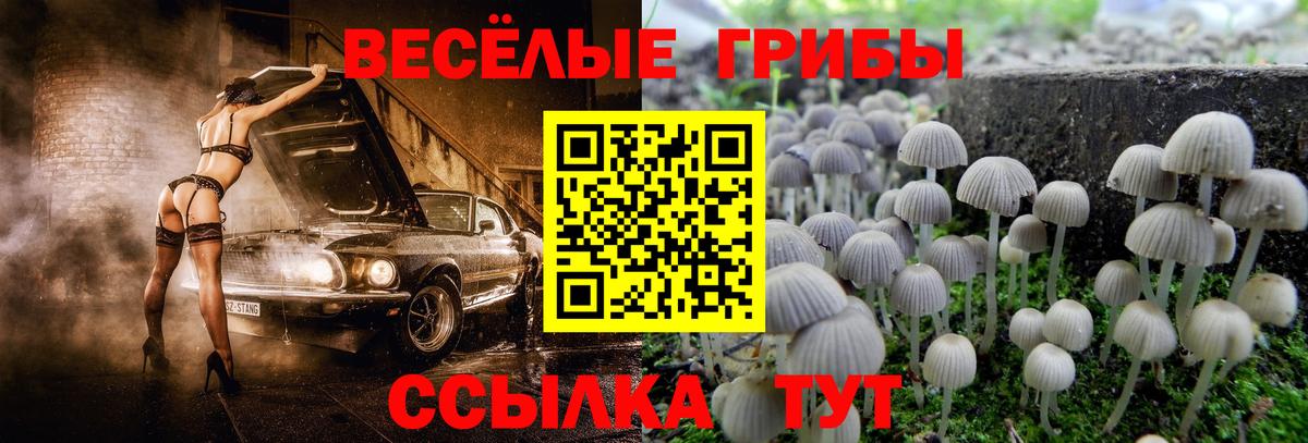 Псилоцибиновые грибы мухоморы Симферополь